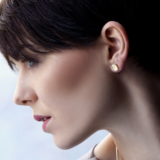 Miniplaneter ørepynt modellbilde